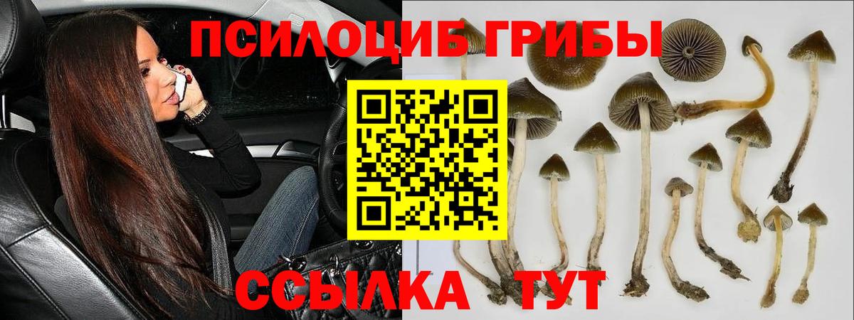 Псилоцибиновые грибы мухоморы Апрелевка