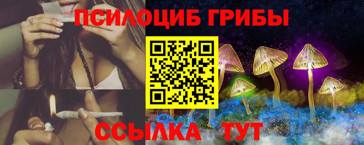 Апрелевка  Галлюциногенные грибы MAGIC MUSHROOMS  Вход с VPN 