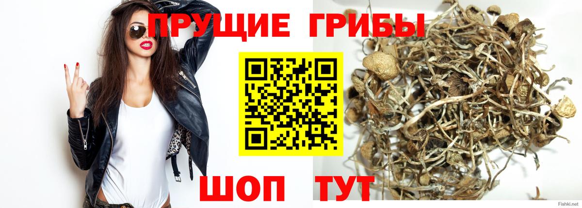 Галлюциногенные грибы мухоморы Апрелевка
